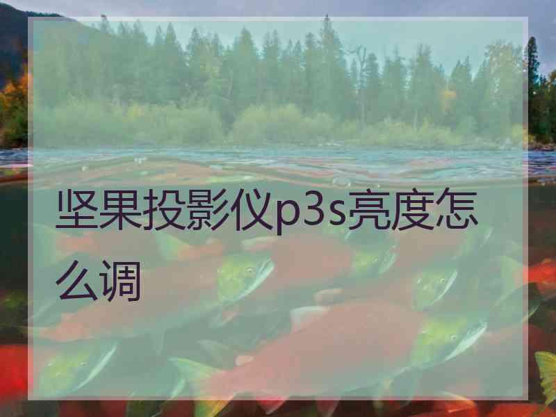 坚果投影仪p3s亮度怎么调