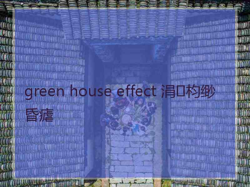 green house effect 涓枃缈昏瘧