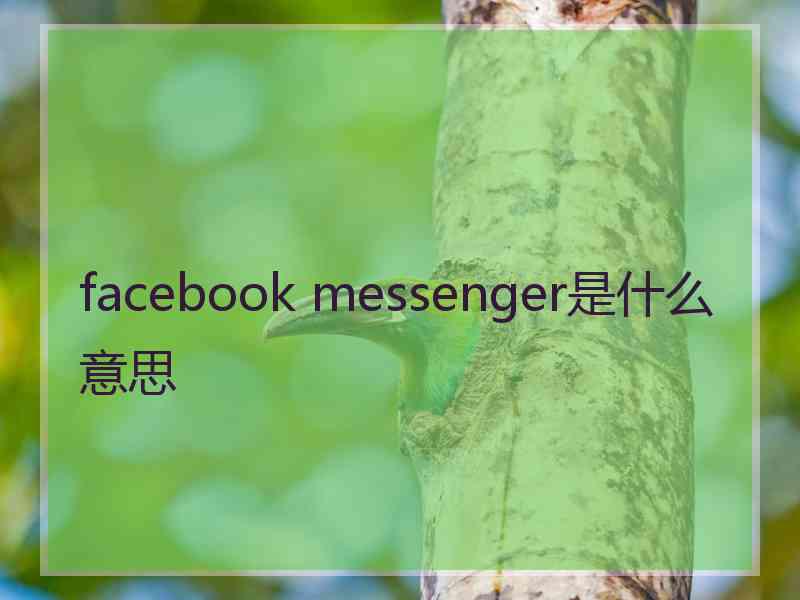 facebook messenger是什么意思