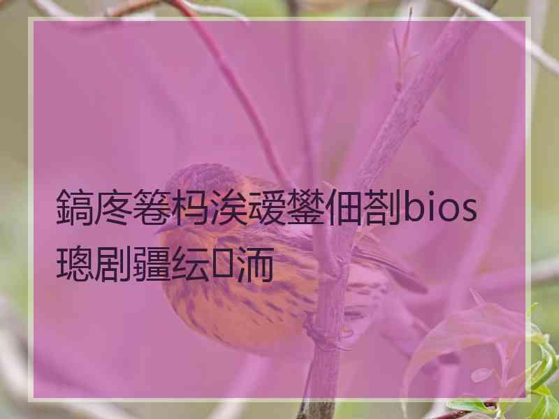 鎬庝箞杩涘叆鐢佃剳bios璁剧疆纭洏