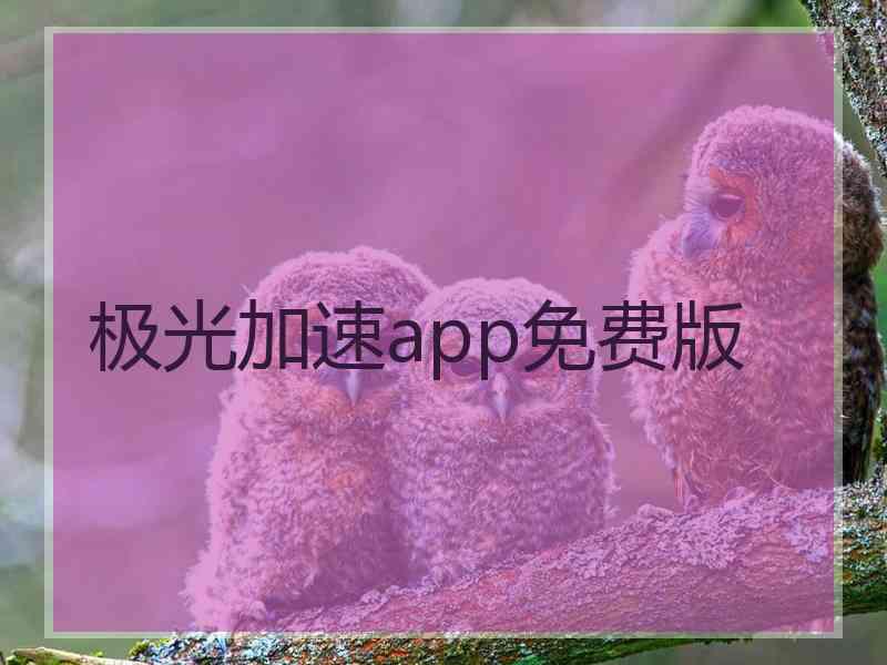 极光加速app免费版