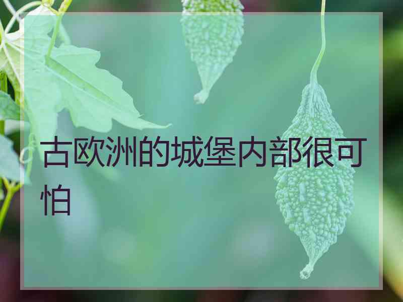 古欧洲的城堡内部很可怕