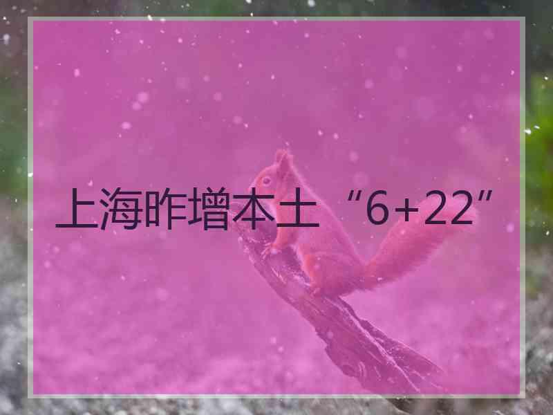 上海昨增本土“6+22”