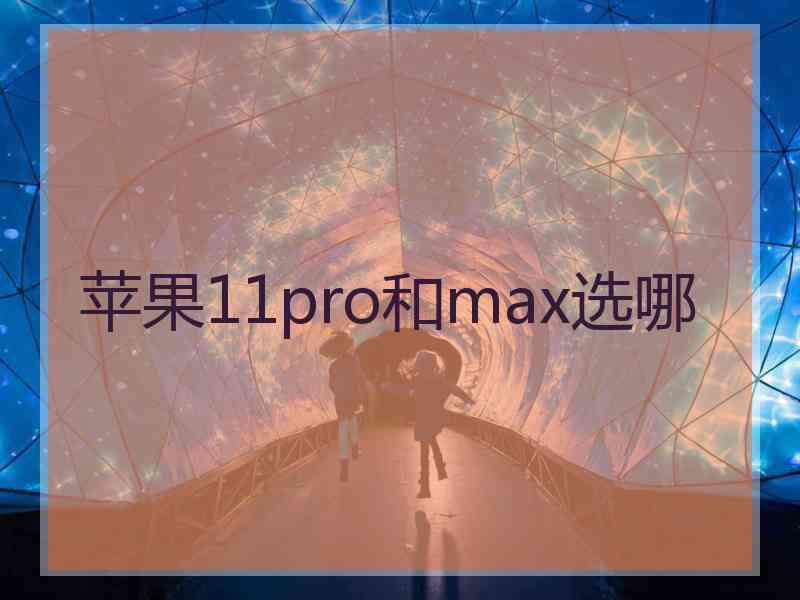 苹果11pro和max选哪