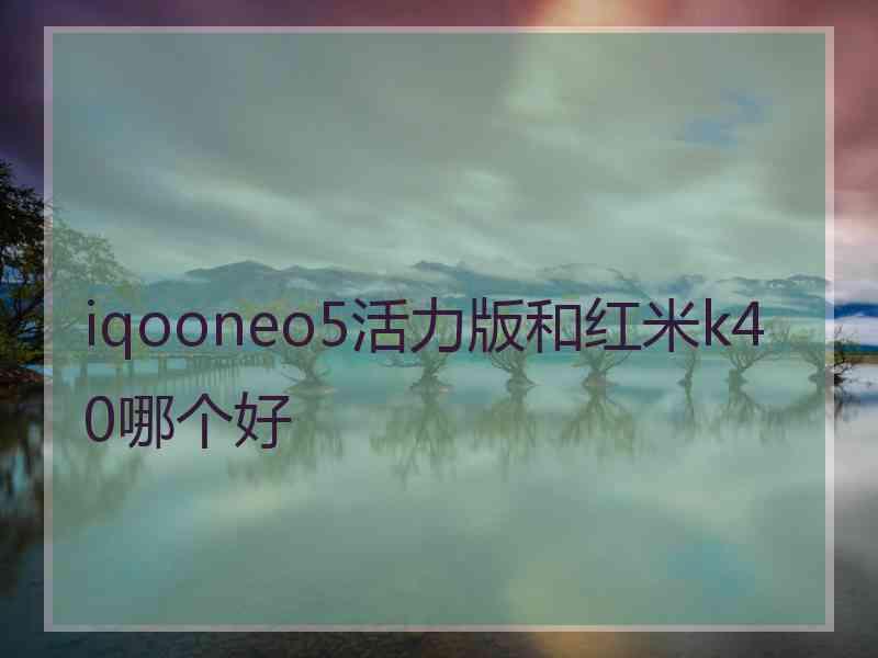 iqooneo5活力版和红米k40哪个好