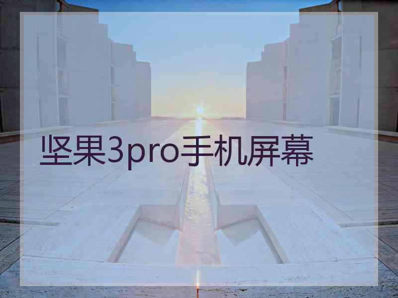 坚果3pro手机屏幕