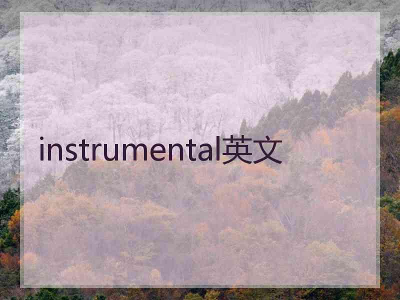 instrumental英文