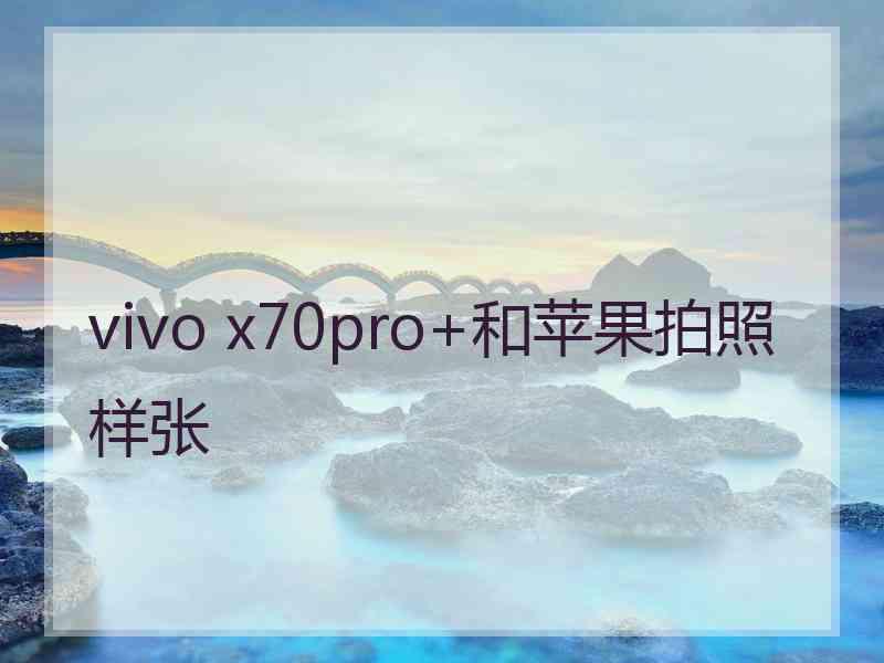 vivo x70pro+和苹果拍照样张