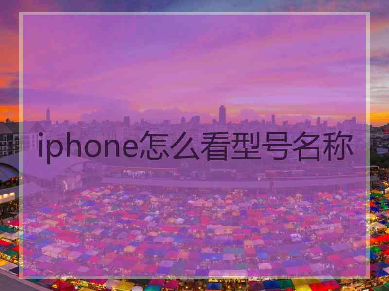 iphone怎么看型号名称