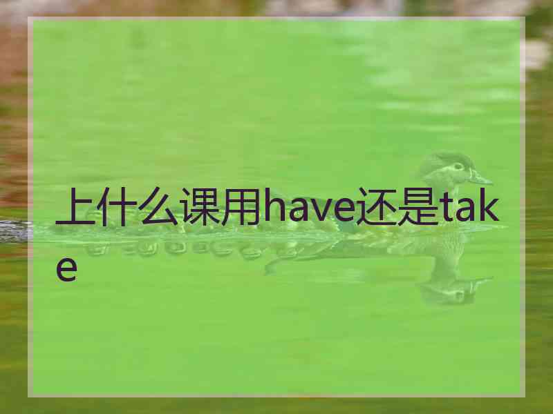 上什么课用have还是take