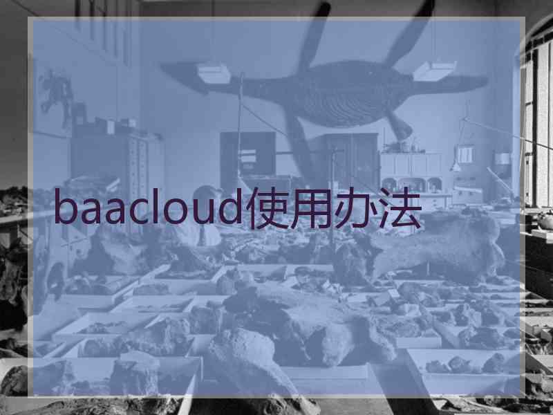 baacloud使用办法