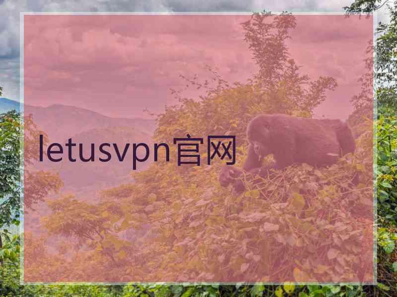 letusvpn官网