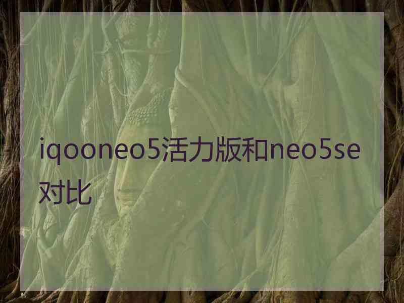 iqooneo5活力版和neo5se对比