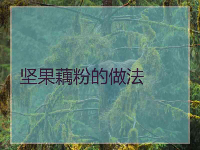 坚果藕粉的做法