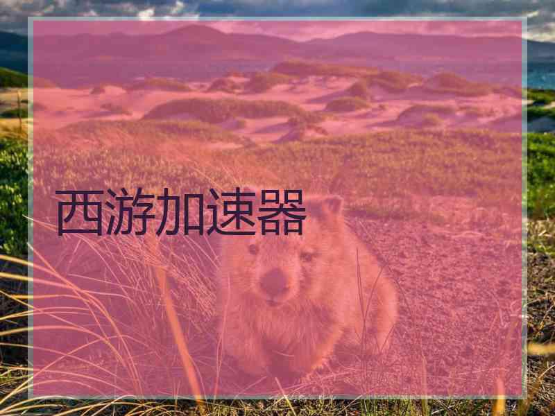 西游加速器