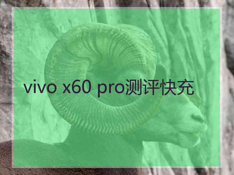 vivo x60 pro测评快充