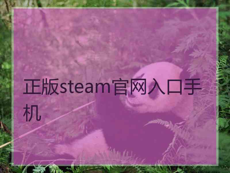 正版steam官网入口手机