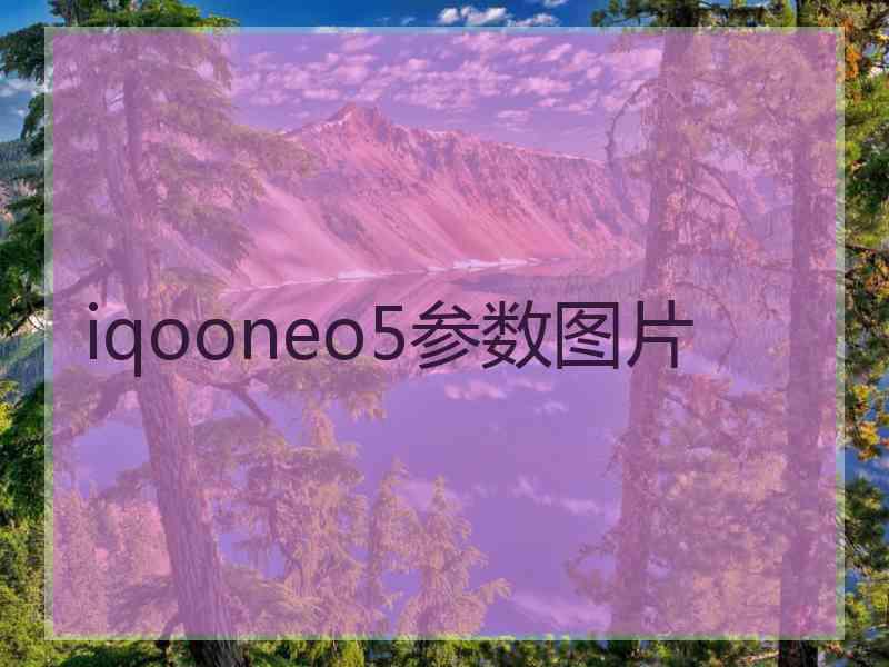 iqooneo5参数图片