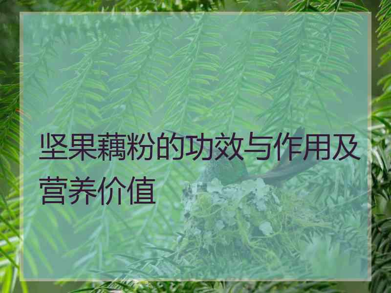 坚果藕粉的功效与作用及营养价值