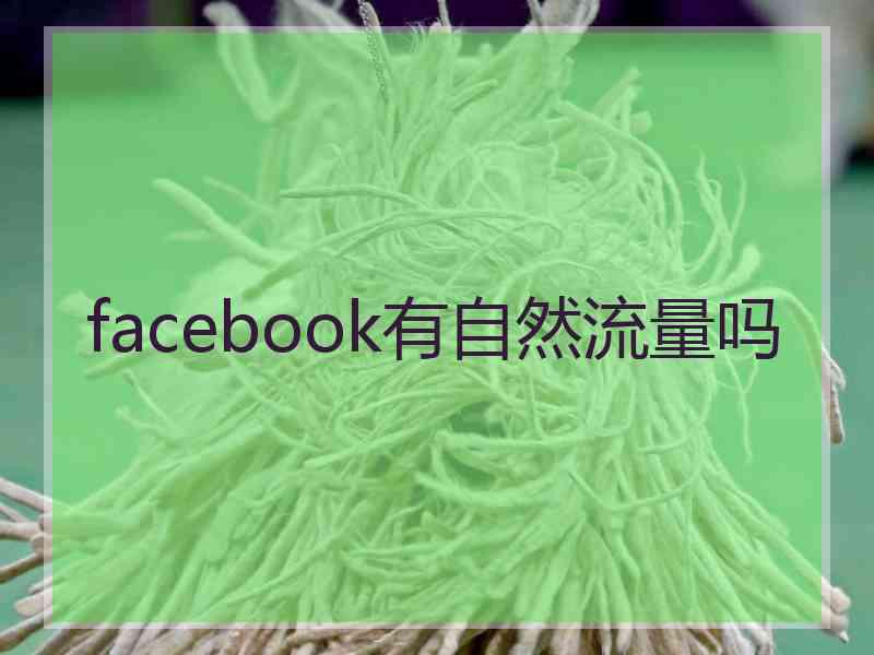 facebook有自然流量吗