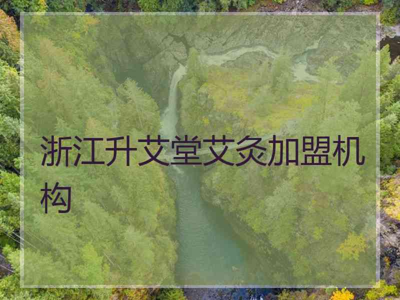 浙江升艾堂艾灸加盟机构