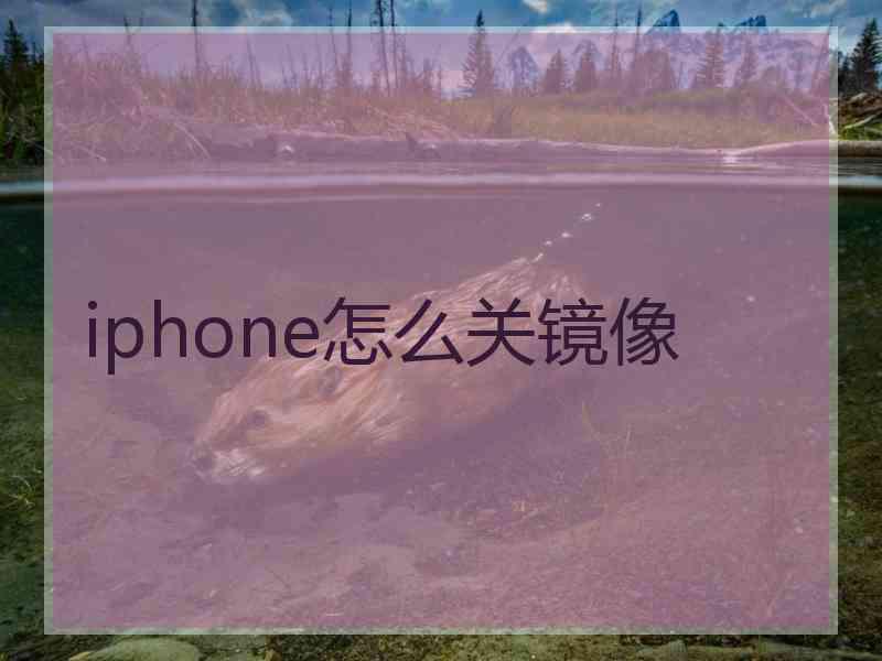 iphone怎么关镜像