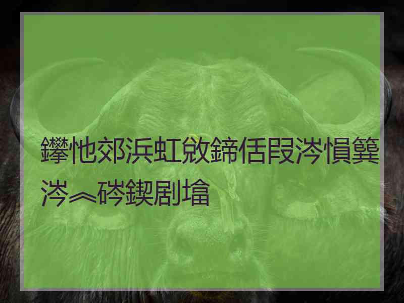 鑻忚郊浜虹敓鍗佸叚涔愪簨涔︽硶鍥剧墖