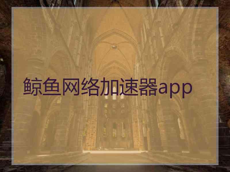 鲸鱼网络加速器app