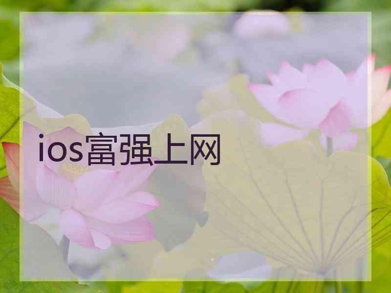 ios富强上网