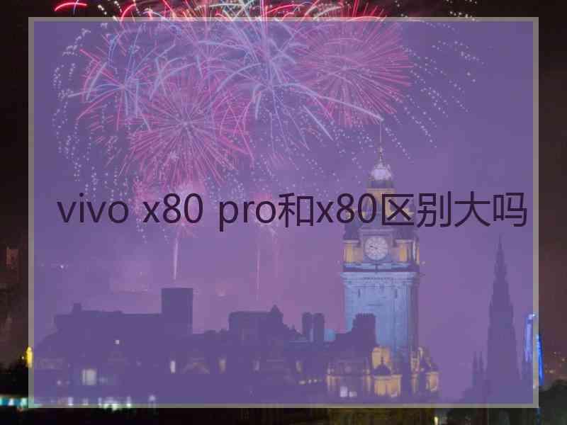 vivo x80 pro和x80区别大吗