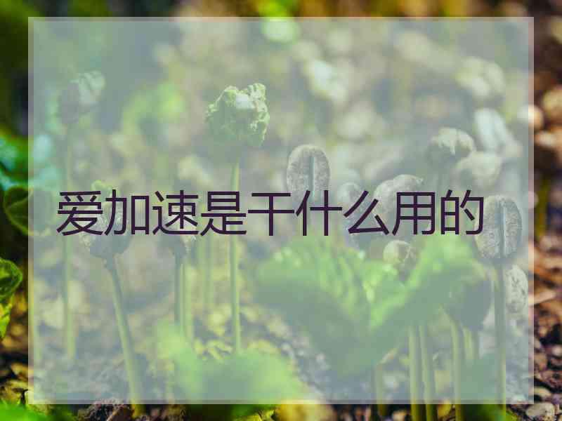 爱加速是干什么用的