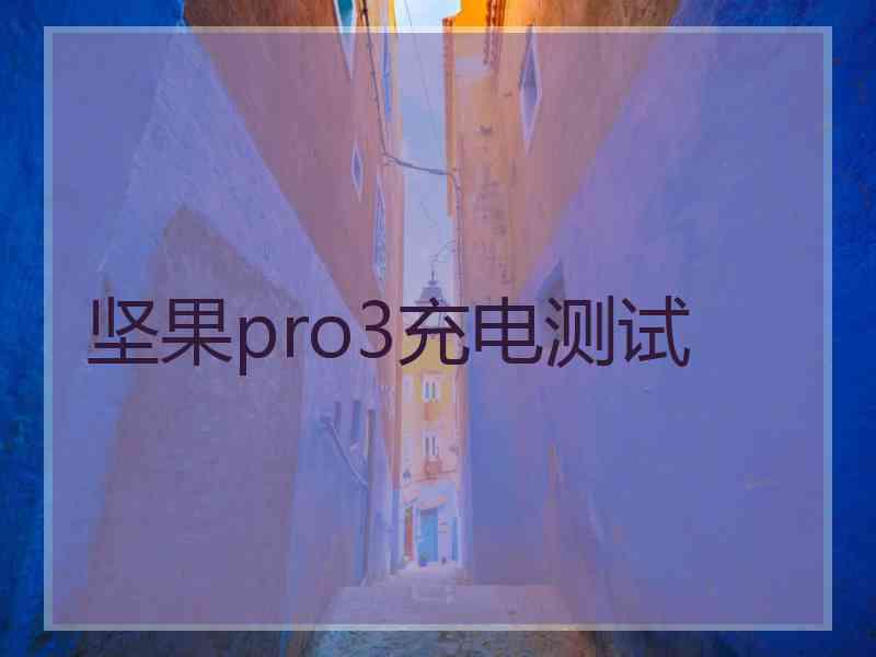 坚果pro3充电测试