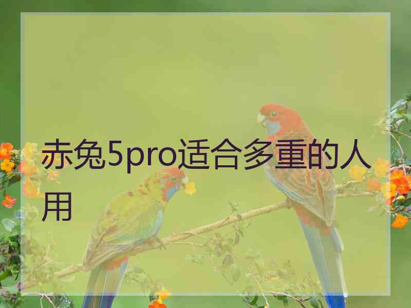 赤兔5pro适合多重的人用