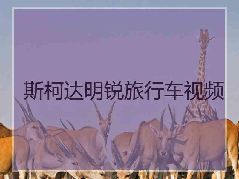 斯柯达明锐旅行车视频