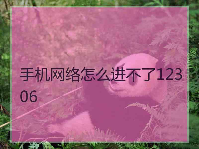 手机网络怎么进不了12306