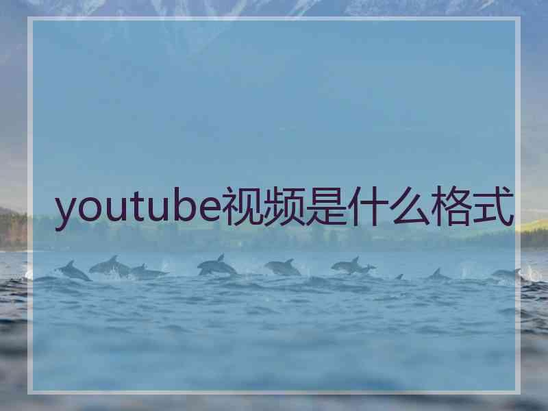 youtube视频是什么格式