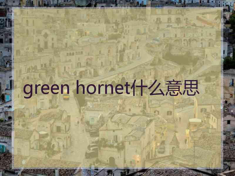 green hornet什么意思