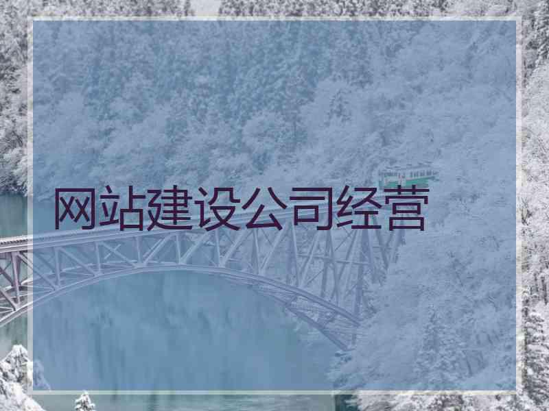 网站建设公司经营