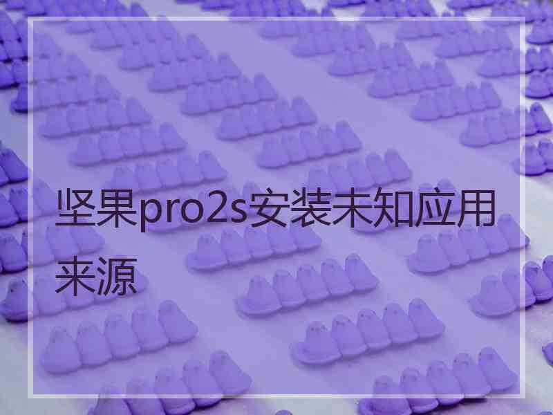 坚果pro2s安装未知应用来源