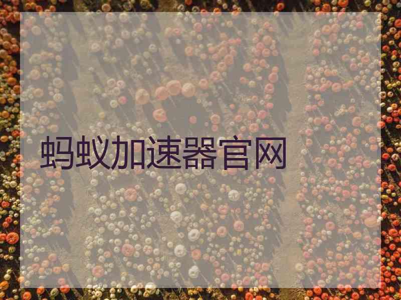 蚂蚁加速器官网