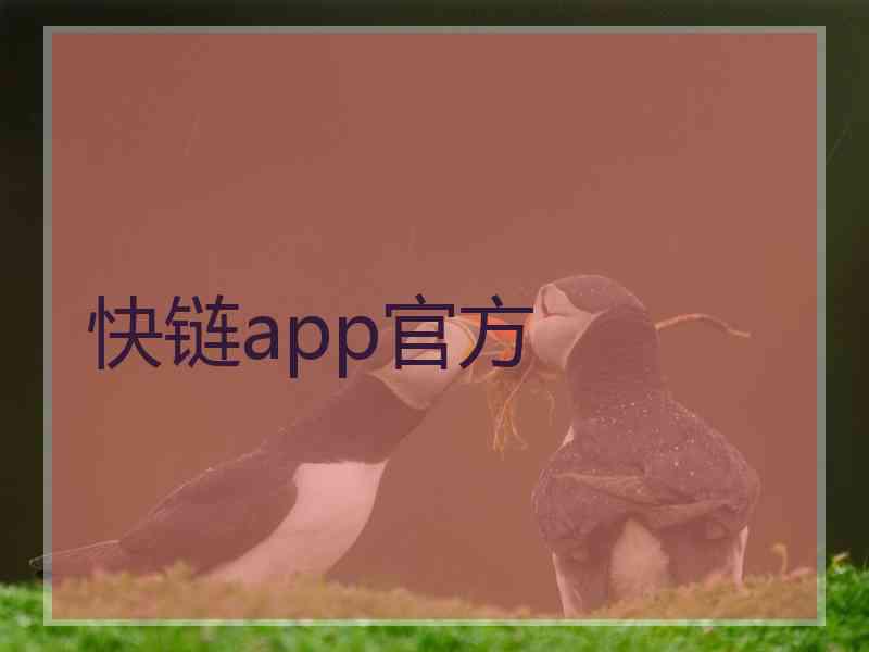 快链app官方