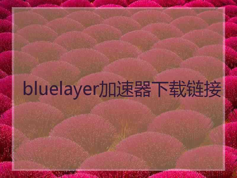 bluelayer加速器下载链接