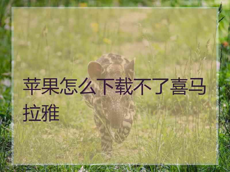 苹果怎么下载不了喜马拉雅