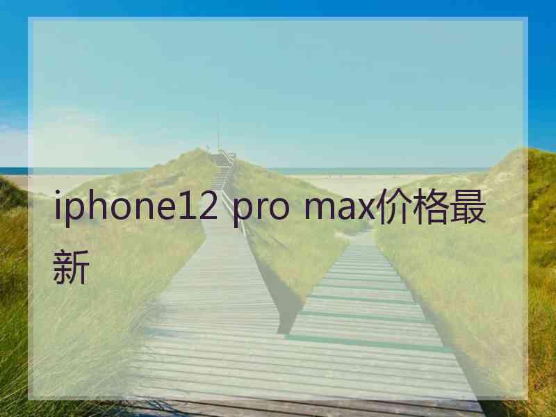 iphone12 pro max价格最新