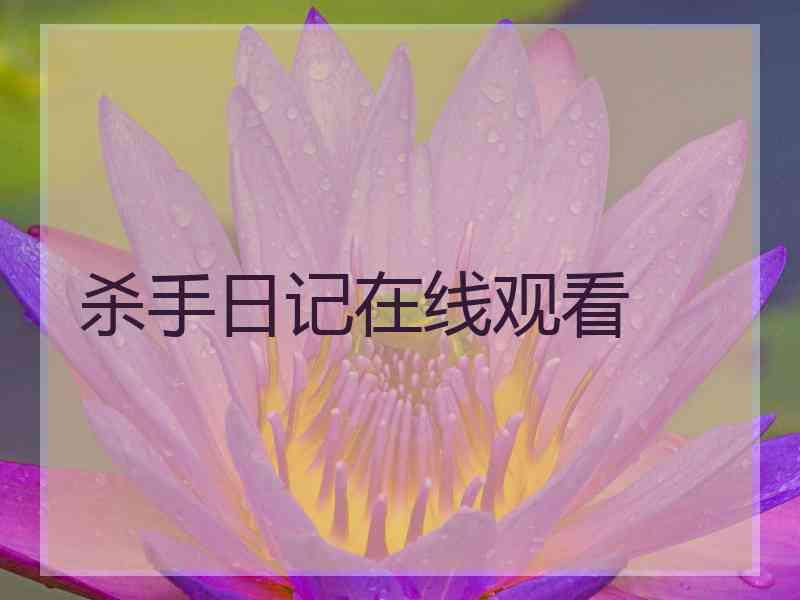 杀手日记在线观看