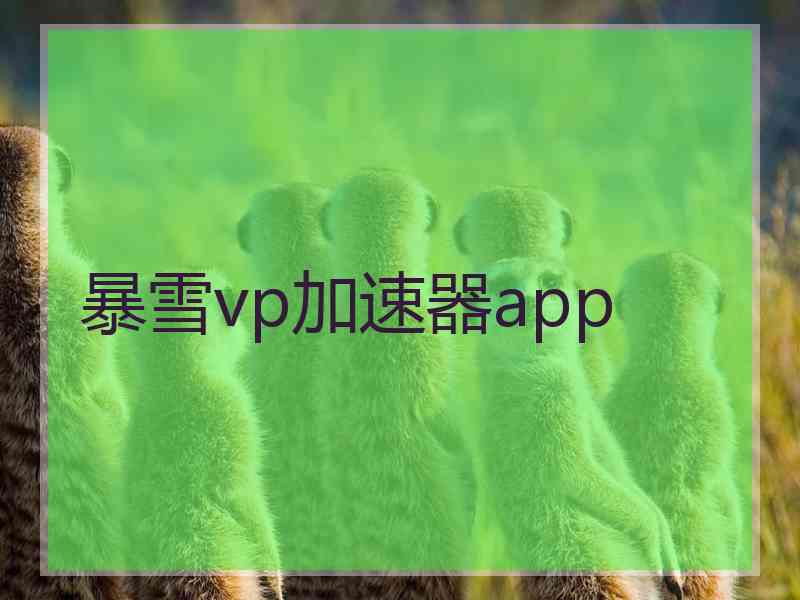 暴雪vp加速器app