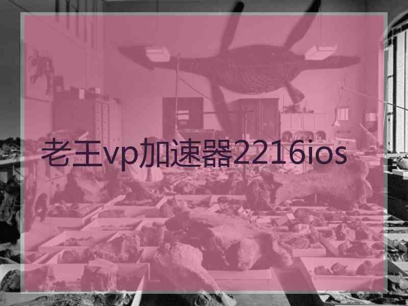 老王vp加速器2216ios