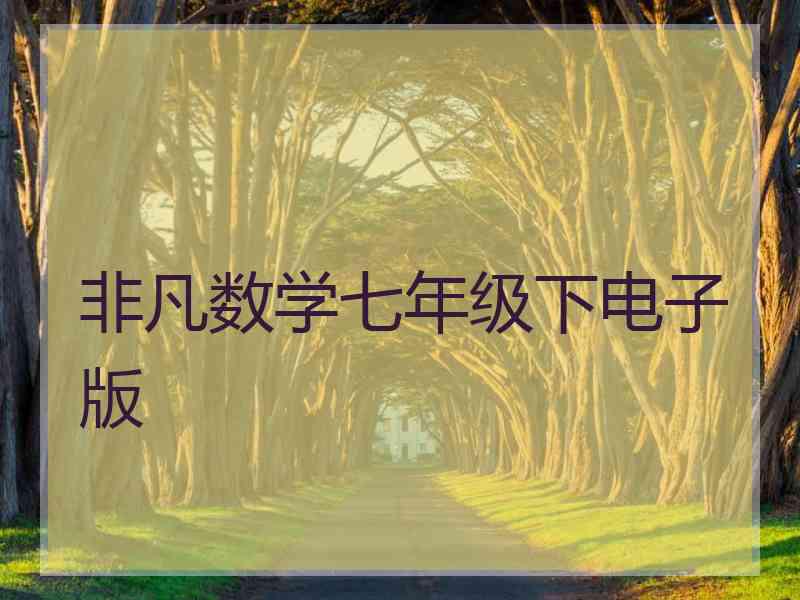 非凡数学七年级下电子版