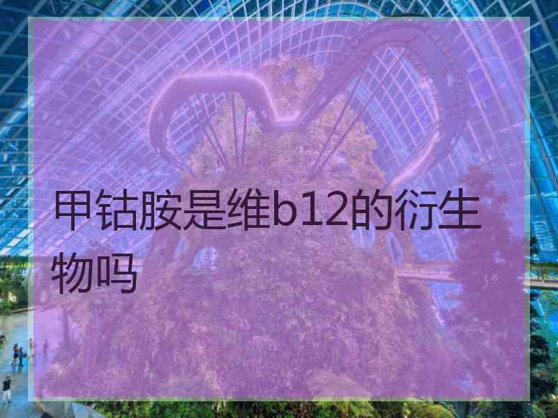 甲钴胺是维b12的衍生物吗