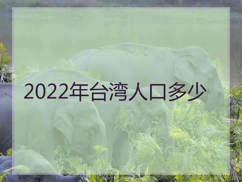 2022年台湾人口多少